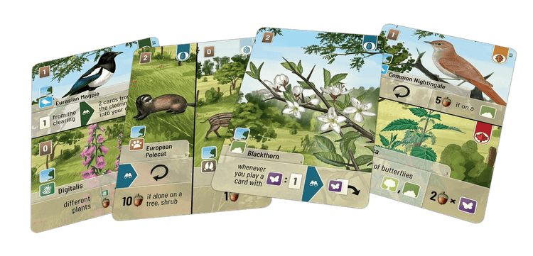 Forest Shuffle: Woodland Edge - Gaming Library