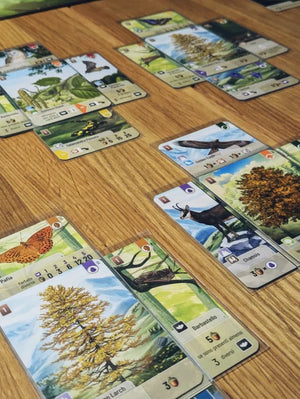 Forest Shuffle: Woodland Edge - Gaming Library